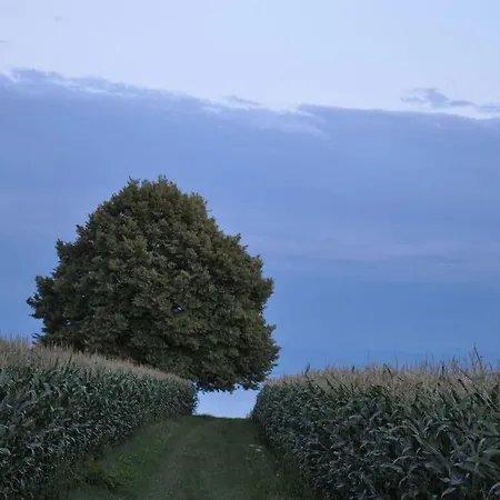 Oak Modern Retreat In